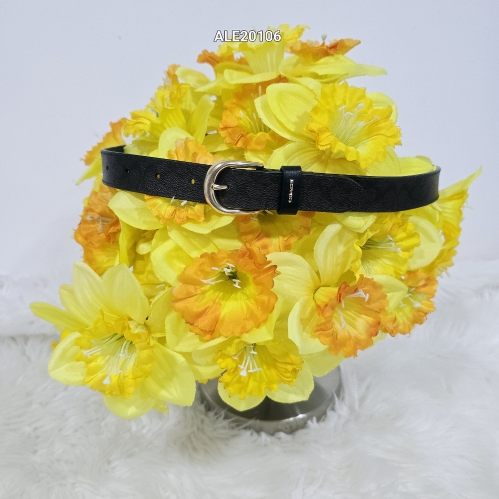 Coach Women Brown Belt with Gold Buckle F78179 Size Small